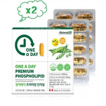 Naturalize 캐나다프리미엄인지질90캡슐x2박스 100% 식물성대두레시틴 캐나다직수입완제품