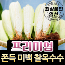 [최대 22cm 엄청난 길이] 강원도 찰옥수수 햇 미백 옥수수 흑찰옥수수 냉동 산지직송 못난이 특품 5개 10개 20개 30개 50개, 0-1) [못난이] 미백 찰옥수수 20개, 3개