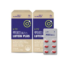 대상웰라이프 루테인 플러스 9g (300mg x30캡슐) 2박스 /눈건강/미네랄