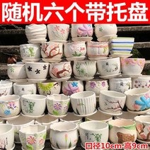 도자기 접시 화분 있음 트레이 팬시 고기 식물 그린 뤄 심플 블루 가정용 소다육 1663842512, 랜덤 6개 있음 트레이