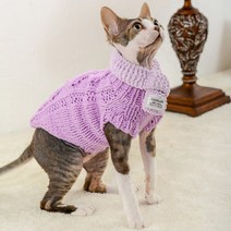 chol 스핑크스 고양이 가을 겨울 스웨터, 퍼플