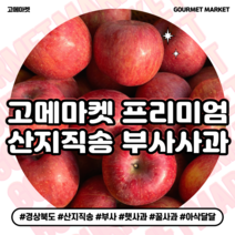 [고메마켓] 프리미엄 당도선별 부사사과 실중량 4.5kg 9kg 정품 꿀 사과 가정용 선물용, 프리미엄 부사 사과 4.5kg (중과 16-18 과), 1개