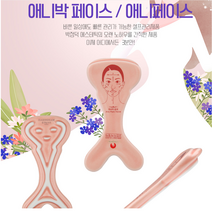 박정덕뷰접시 애니파크 경락도구 마사지기 괄사, 애니파크(얼굴), 1개