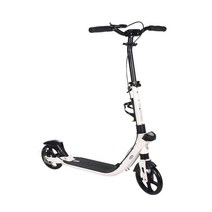 접이식전동킥보드 출퇴근 쿽보드 전기 2륜 초등학생, 블랙