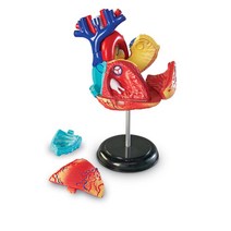 초등 호기심 과학교구 3D입체 심장모형 유치원 교육시설 교육기관용 어린이과학 인체신비