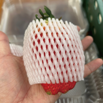 산지직송 킹스베리 왕딸기 생딸기 논산 딸기 1팩(400~500g), 킹스베리 왕특/45g 이상 (1팩 400~500g)