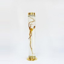 용천자연유리 담금주병 수동 119호, 3L, 6개