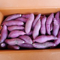 [과애모] 영암 꿀 품은 고구마 5kg/10kg, 5kg