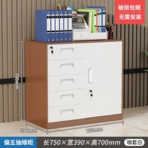캐비넷 수납장 서랍장 사무실 다용도 철제 양문형, 1.1mm, 커피색 5서랍