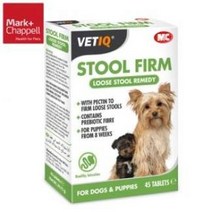 강아지 장관리 스툴펌 45정 1P 소화 프리바이오틱