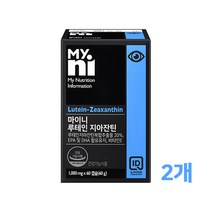 식약처인증 루테인 지아잔틴 복합 추출물 20% 눈 영양제 RTG 알티지오메가3 눈에좋은 마리골드꽃 헤마토코쿠스 빌베리 구기자 결명자 황반변성 눈건조 눈노화 청소년 직장인 추천, 1,000mg*60캡슐(PTP포장), 2.box