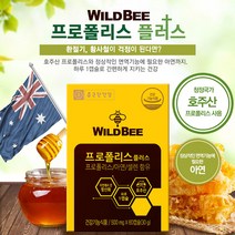 종근당건강 와일드비 프로폴리스 60캡슐, 2개