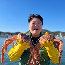 국내산 동해바다 제철 대게 수율보장, 국산대게(생물), 준박달대게 소 3마리(생물)_수율80%내외