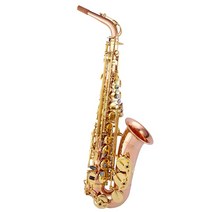 셀마색소폰 전자색소폰 구리 알토 입문용, 은도금 2색 A902