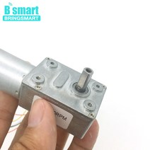 웜기어 감속기 모터 Bringmart JGY-2430 브러시리스 12 볼트 24V DC 웜 기어 모터 자동 잠금 가역 브레이크, 02 12V 10rpm
