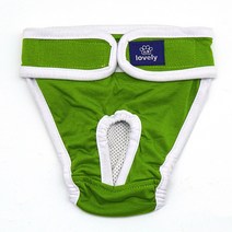 강아지 옷 나시 원피스 패딩 가을 티셔츠 겨울 조끼 후리스 신발 개 기저귀 생리 팬티 빨 여성 개 반바지 부드러운 소녀 개 바지 애완 동물 속옷 위생 팬티 s-2xl, 초록, M