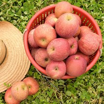 [의성직송] 달콤한 의성 흠집 사과(대) 3kg/4kg/10kg, 10KG