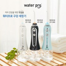 워터프로 휴대용 구강세정기 5단계 수압조절 휴대용 파우치 증정, CP-100(화이트)