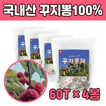 꾸지뽕 잎 입 구지뽕 우려 먹는 구찌뽕 마시는 3봉 뽕잎차 가지 환절기 에좋은 음식 우려서 가볍게 침출차 CUDRANIA TEA 따뜻한 워터 티 식수 물 대용 대신 직장인 추천, 3개