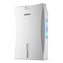 지능형 제습기 에너지 절약 흡습기 마른 옷 공기 정화 원 버튼 작동 가정용 소형, C 110V, 1-JP