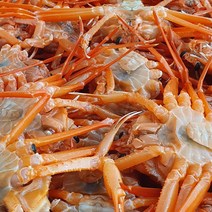 [산지직송 선주직송] 대게 홍게 자숙 홍게 당일조업 10마리 동해 포항 구룡포 서민갑부 출연, 명품 소홍게