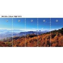 Bj그림벽지 고급 실크벽지 AT1018619 가을 자연풍경 뮤럴벽지 고품질의 친환경 벽화벽지 원하는 이미지 (내사진) 제작 가능, 고급 실크벽지 : 5폭 (500cm x 230cm)