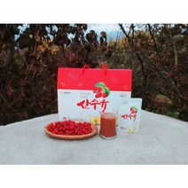 없음 지리산 산수유마을 프리농 산수유즙 선물세트, 상세정보참조, 1개