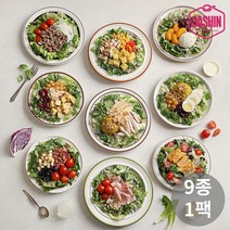 [다신샵] 신선한 한스푼샐러드 도시락 9종 1팩 골라담기 / 주문후제조, 단호박 샐러드 1팩