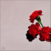 [CD] John Legend - Love In The Future (Standard Version)