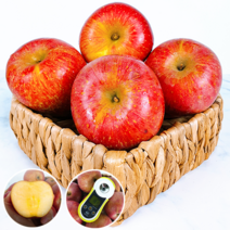 [긍정적인 밥상] 경북 홍로 사과 산지직송, 정품, 소과 5kg(23-28과), 1개