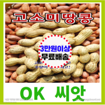[OK씨앗] [고소미땅콩] 땅콩씨앗 종자(오케이씨앗), 500g