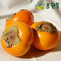 달콤아삭 경남 단감 정품 5KG/10KG, 정품 5kg(25~30)