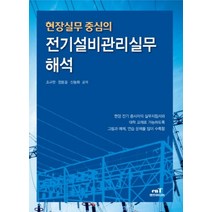 현장실무 중심의 전기설비관리실무 해석(2021), 엔트미디어
