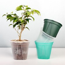 에이치와 자동급수 화분 HIK-32 31.5x16cm, 쿠팡 아이템온 투명그린_100
