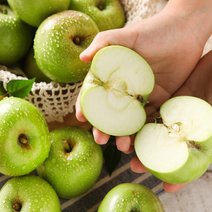 풋풋한 아오리사과, 가정용 아오리사과 3kg 중대과 7-13과내외, 1개