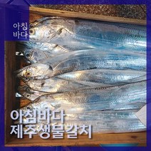 제주 신선 생물 갈치, 갈치(400g), 1개