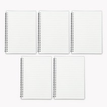 365플레이스 대용량 노트 80매 5p세트, 라인 B5