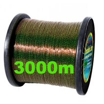 바다 합사 카본 낚시줄 와이어 민물 쭈꾸미 3000m 1000m 보이지 않는 낚싯줄 3d 발견 바이오닉 플루오로카본 코팅 모노필라멘트 나일론 라인 얼룩 잉어 조류 낚시 pesca, 3000M 그린, 2.5, 03 3000m green_08 2.5