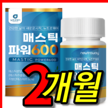 식약처 식약청 인증 인정 홈쇼핑 속편한 위 건강 바이오 그리스 하이 매스틱 메스틱 마스틱 매스틱검 오일 원물 참좋은 올바른 마이라이프 복합체 1000mg 정 캡슐 2 박스 개월