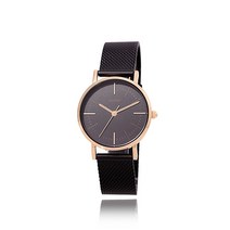 로이드 블랙 다이얼 여성 메쉬시계 LL2G18475IBB