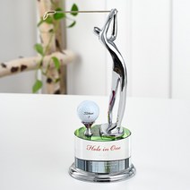스포츠트로피 싱글패 골프트로피 이글패 홀인원패 컬러크리스탈 골드스윙클럽 크롬스윙클럽, SP-024(실버_컬러크리스탈_볼서비스)