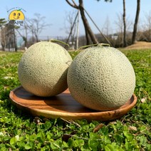 [쥬시맨] 산뜻! 피크닉 필수 꿀당도 나주 세론이 세지멜론 1.25kg 1.66kg 단위, 세지멜론 상 (4과 5kg) 파란 박스, 1개