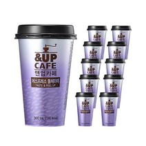 일동후디스 앤업카페 에스프레소 돌체라떼 텀블러 컵커피 300ml x10컵, 10개