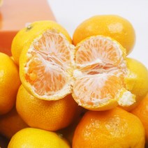 제주 위미 농협 극조생 감귤 5kg 10kg 귤로장생 문주왕 싱귤생귤, 타이벡 조생귤[고당도 12브릭스 이상] 5kg