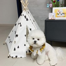 강아지 고양이 포메라니안 비숑 프리제 러시안블루 먼치킨 애완동물 하우스 집 인디언텐트, 파랑잎사귀