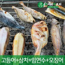 [선물포장]고흥숯불생선구이 세트_고등어 임연수 삼치 오징어 모음