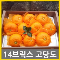 귤내음농장 고당도레드향 (선물용) (가정용) 2kg 3kg 5kg 다양하게 즐기세요 고당도레드향은역시 귤내음, 1개, 6.(가정용)레드향3kg 소과벌크