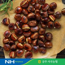 공주사곡농협 칼집을 넣어 먹기 편한 공주햇밤 대보大 칼집밤, 대보 대 칼집밤 1kg