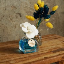 HM 쏠라플라워 디퓨져 50ml 11종 택1[SN:_66+cy], 옵션선택▷레드프룻 011354