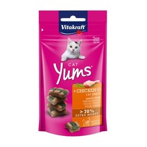 비타크래프트 캣얌 40g 4종 중 1선택 고양이 간식, 1개, 치킨